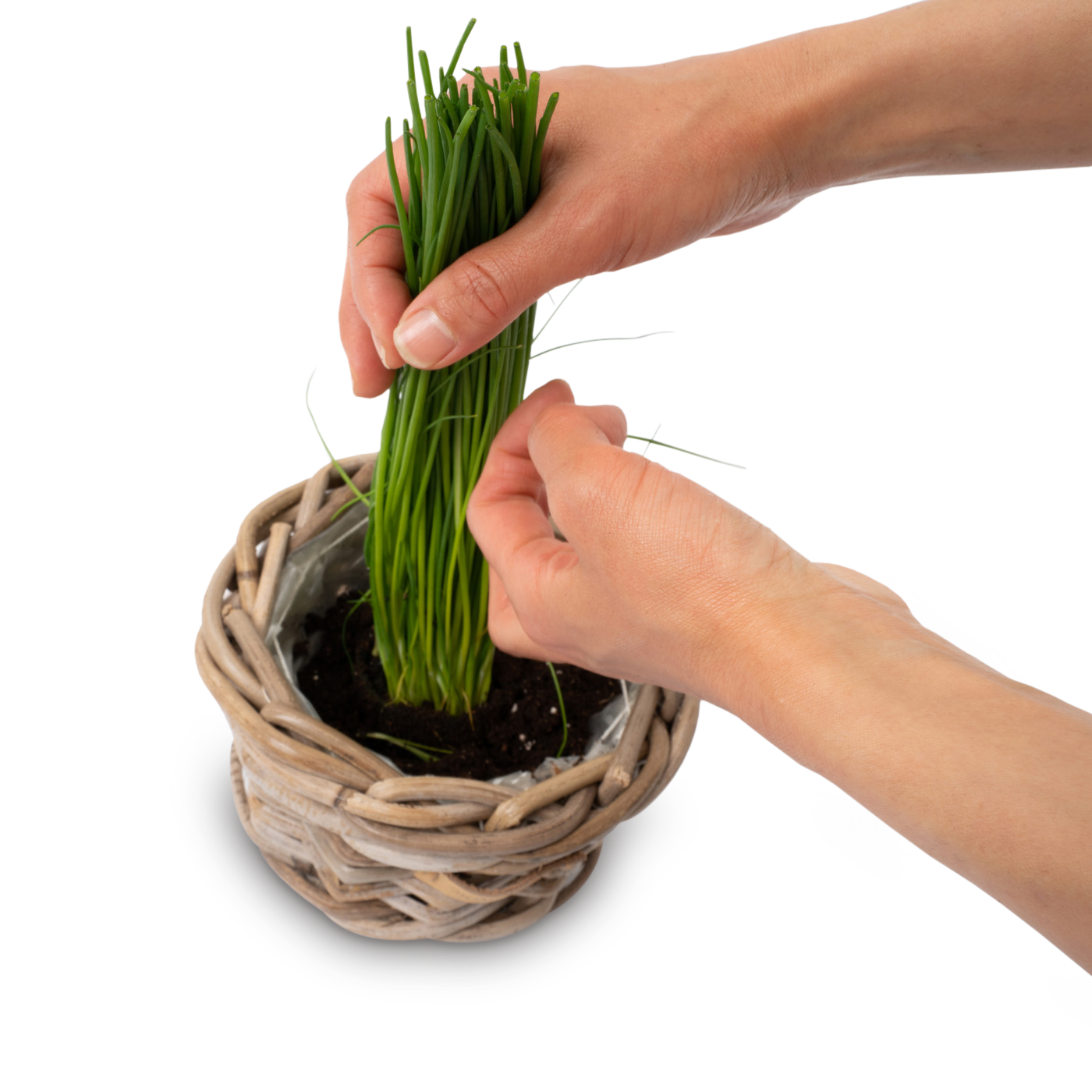 Urtekurv Ø15xH12 i Grå Rattan