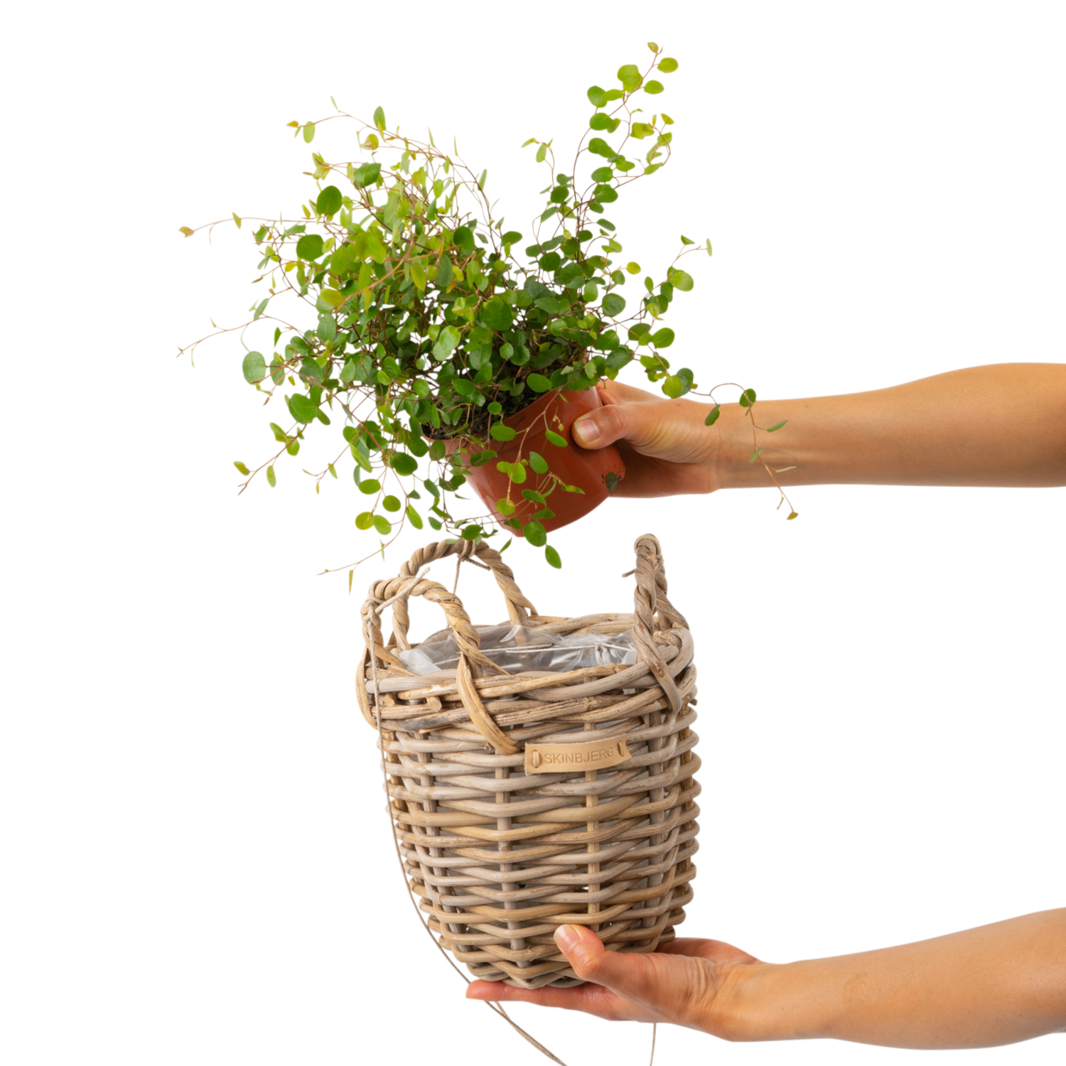 Plantekurv til ophæng m. plastik - sæt á 2 størrelser