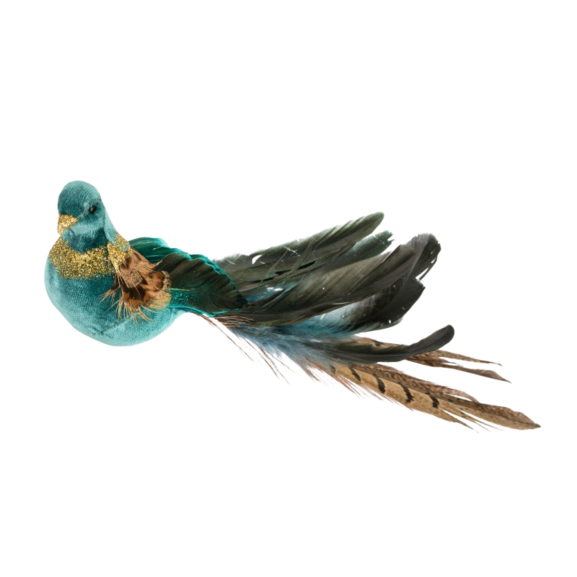 Large Turquoise Bird